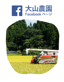 大山農園facebookページ